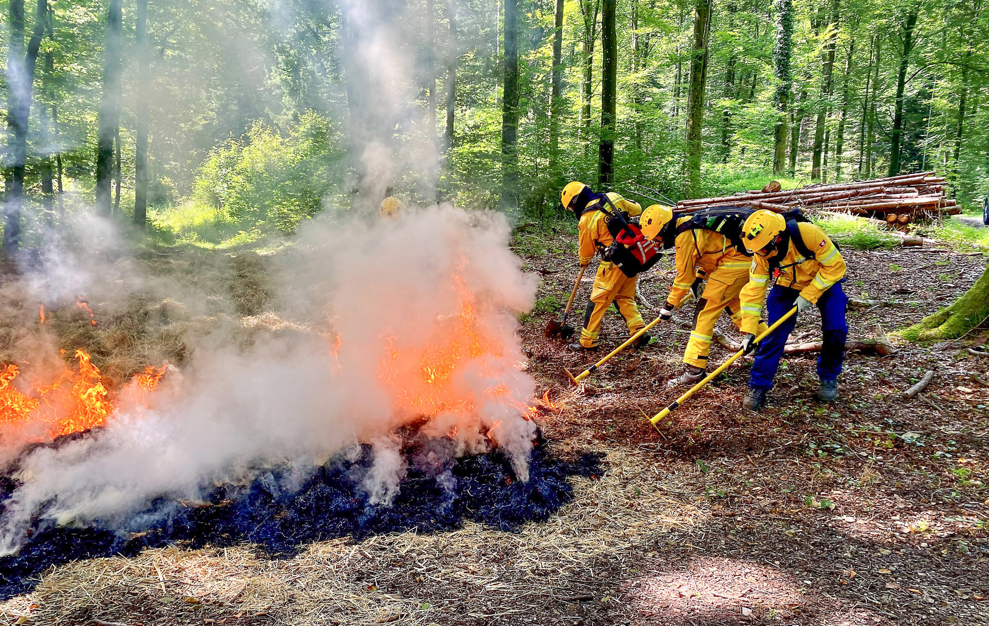 Les pompiers éteignent un feu de forêt.